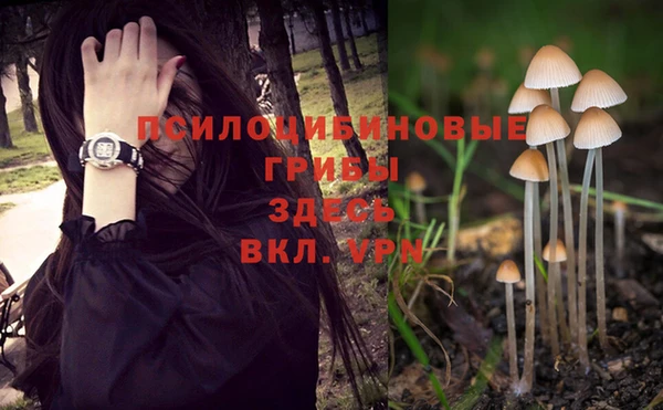 ПСИЛОЦИБИНОВЫЕ ГРИБЫ Алексеевка