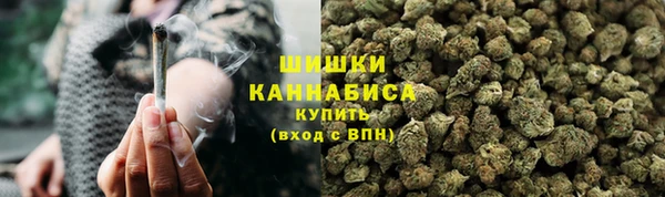 ПСИЛОЦИБИНОВЫЕ ГРИБЫ Алексеевка