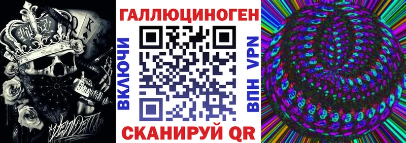 Псилоцибиновые грибы Psilocybine cubensis наркошоп Тайга